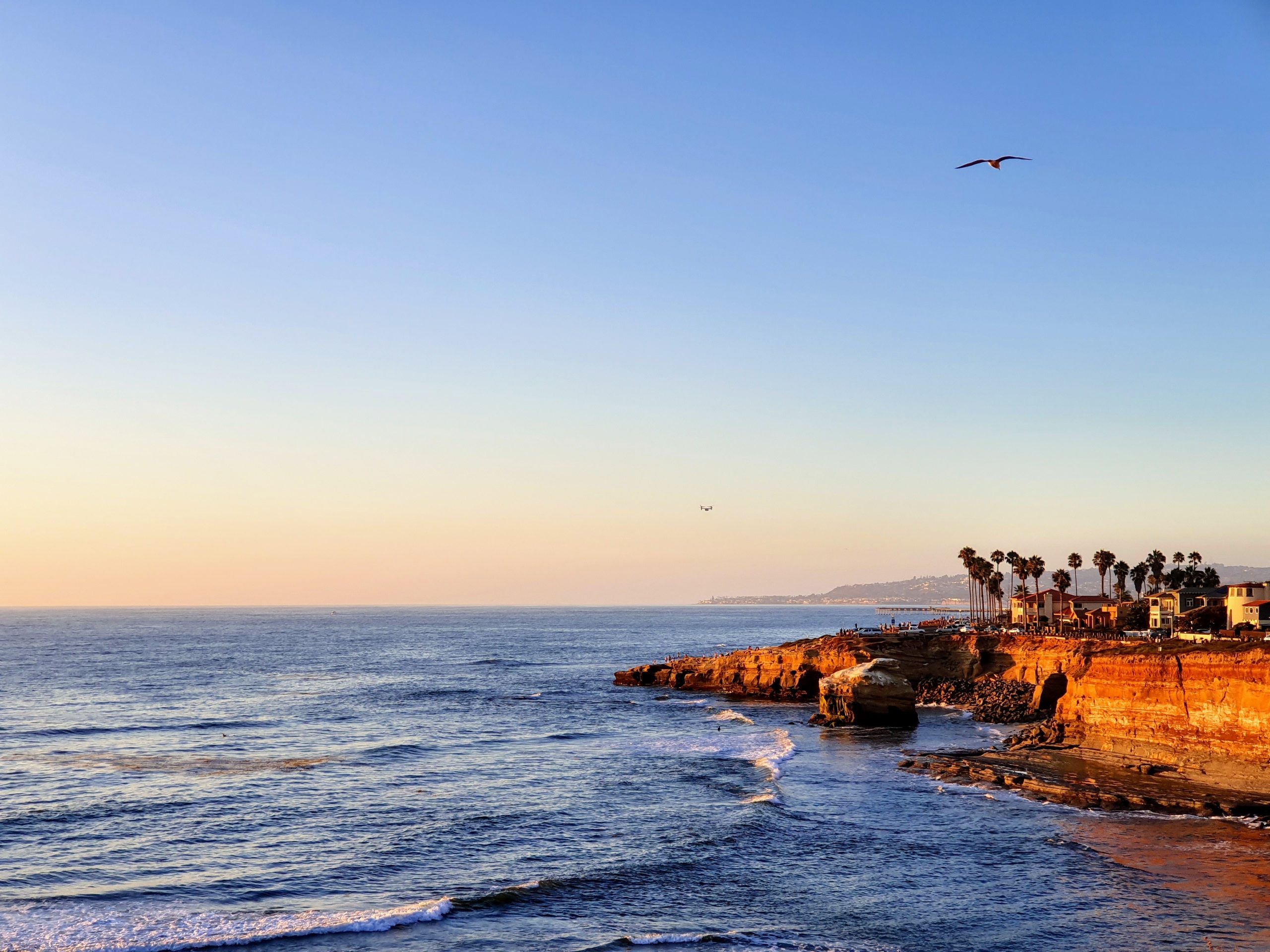 The Pros and Cons Of Living in San Diego