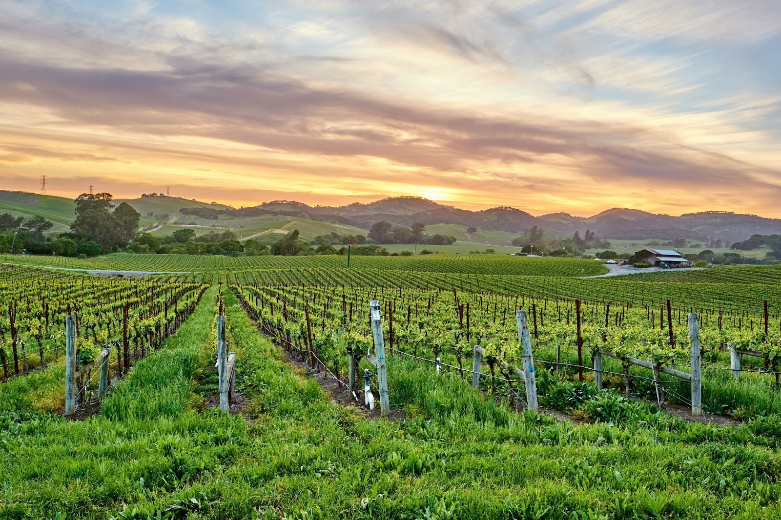 Temecula sunset