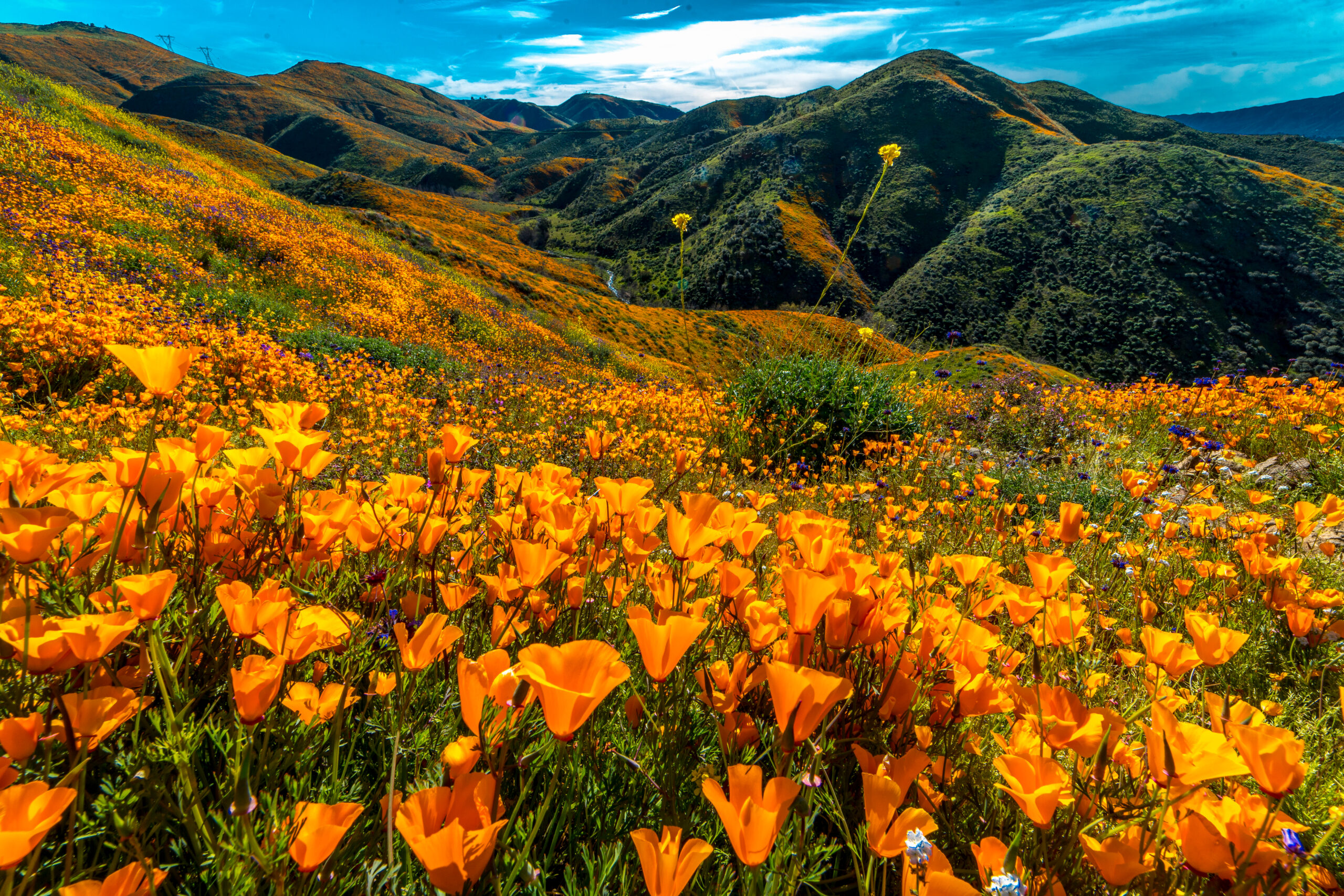 Lake Elsinore Hills