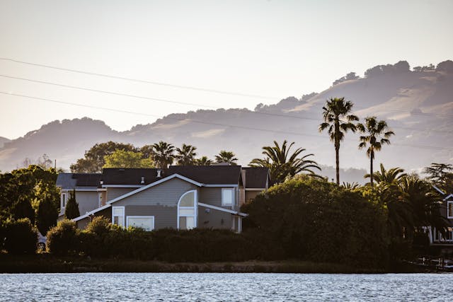 a lakeside property with palm trees